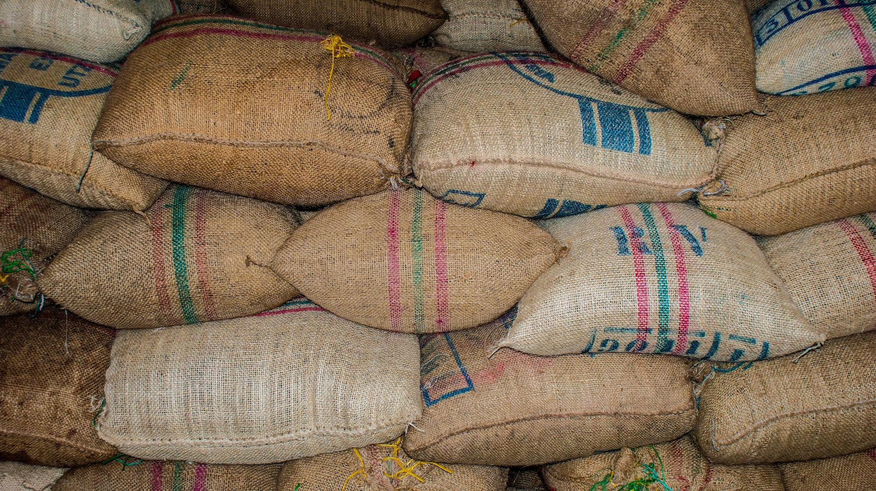 Explorer l'art de la fermentation du café : accentuer les profils de saveur dans les meilleures fermes de café