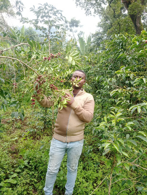 Yosef Yohannis #3 - Coffee grains Ethiopia 200g